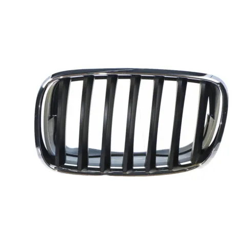 Left Grille for BMW X5 E70 (3/2007 to 10/2013), Part 46956
