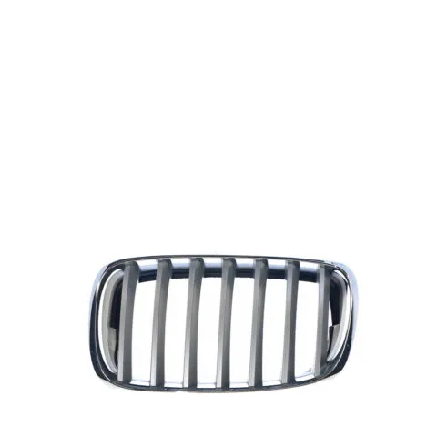 Left Grille for BMW X5 E70 (3/2007 to 10/2013), Part 46960